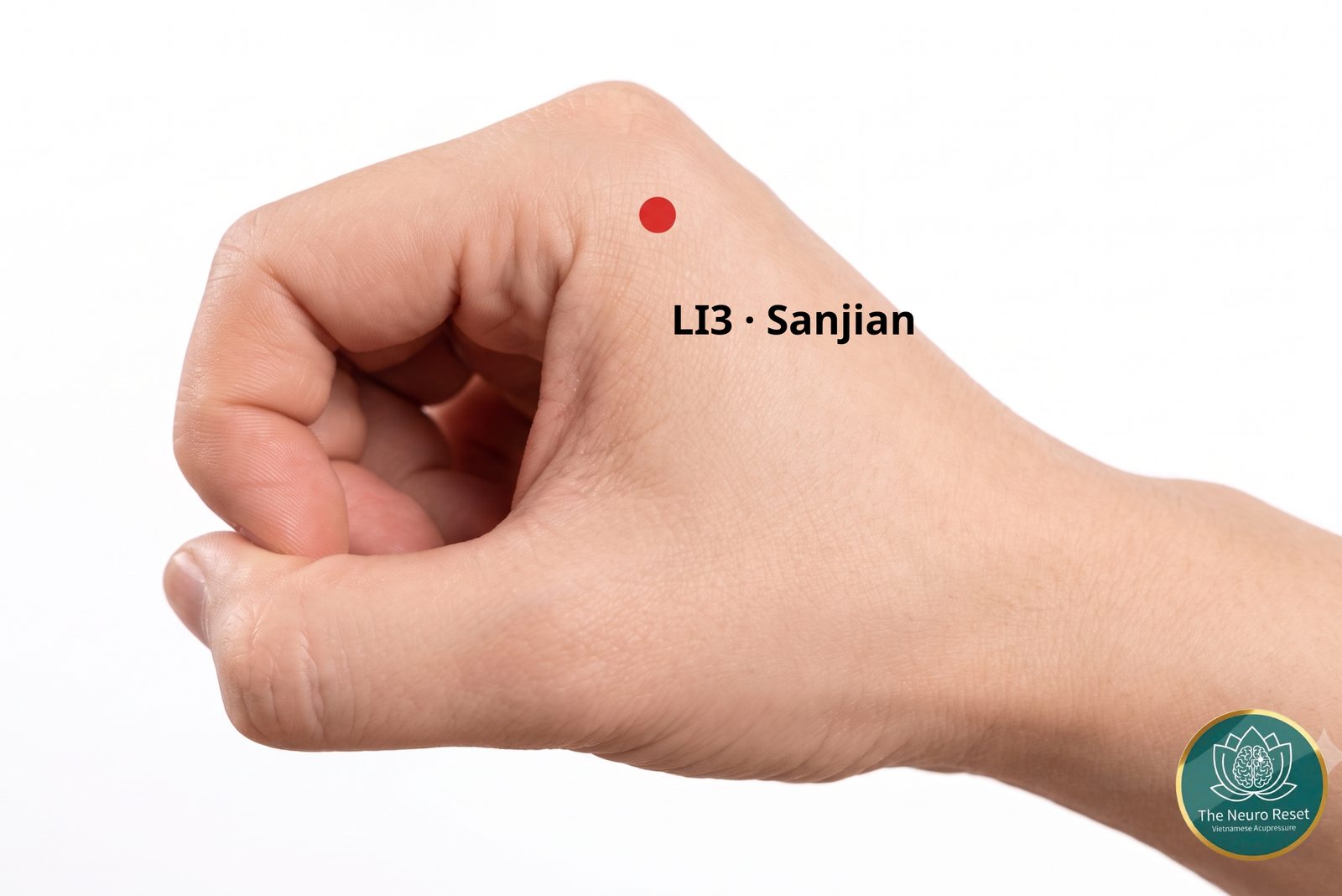 Sanjian (LI3) pressure point: a loosely closed hand seen from the thumb side, with a red dot behind the knuckle of the first finger.