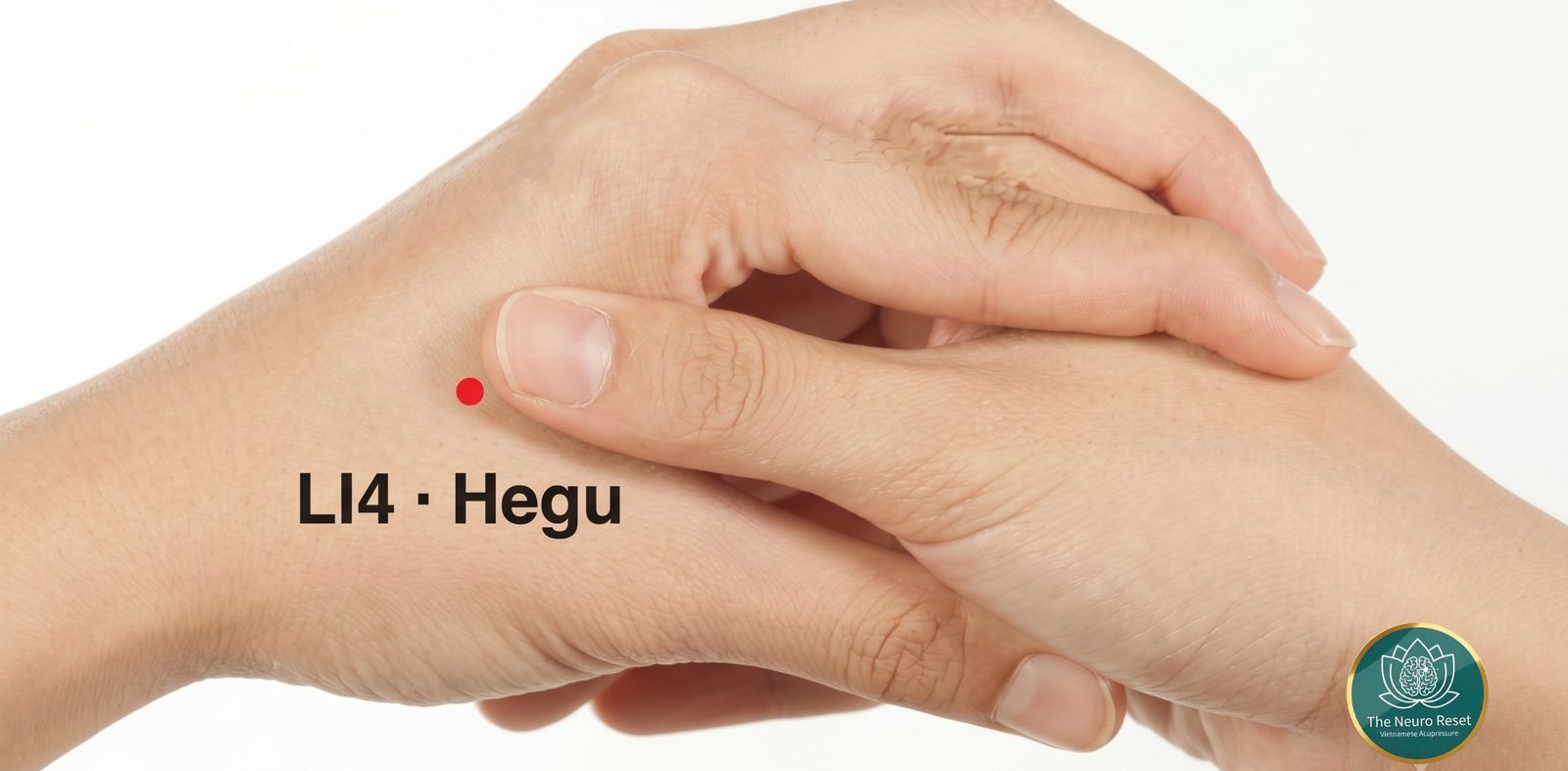 Hegu (LI4) pressure point: one hand resting on the other, with a red dot on the back of the hand in the muscle between the thumb and first finger.