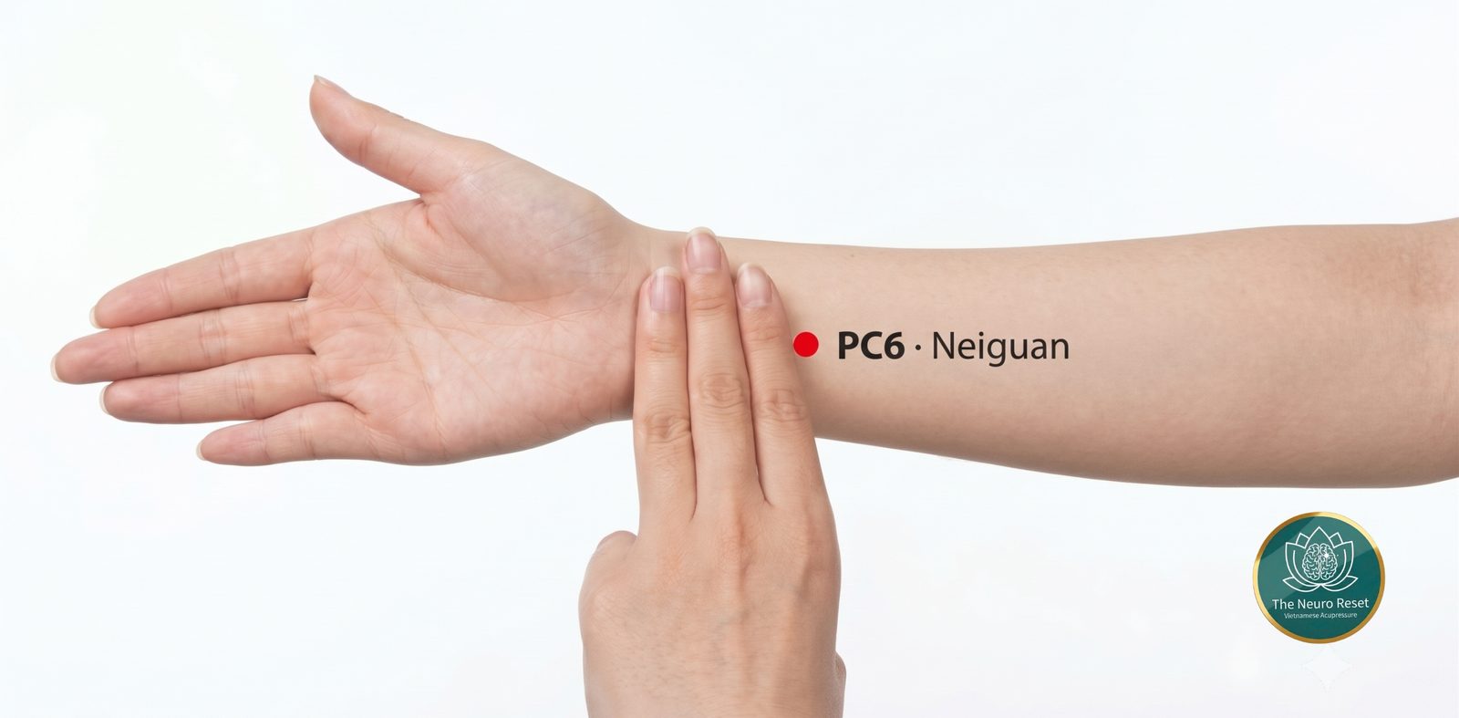 Neiguan (PC6) pressure point: inner forearm, palm up, three fingers across the wrist crease, red dot directly above them.