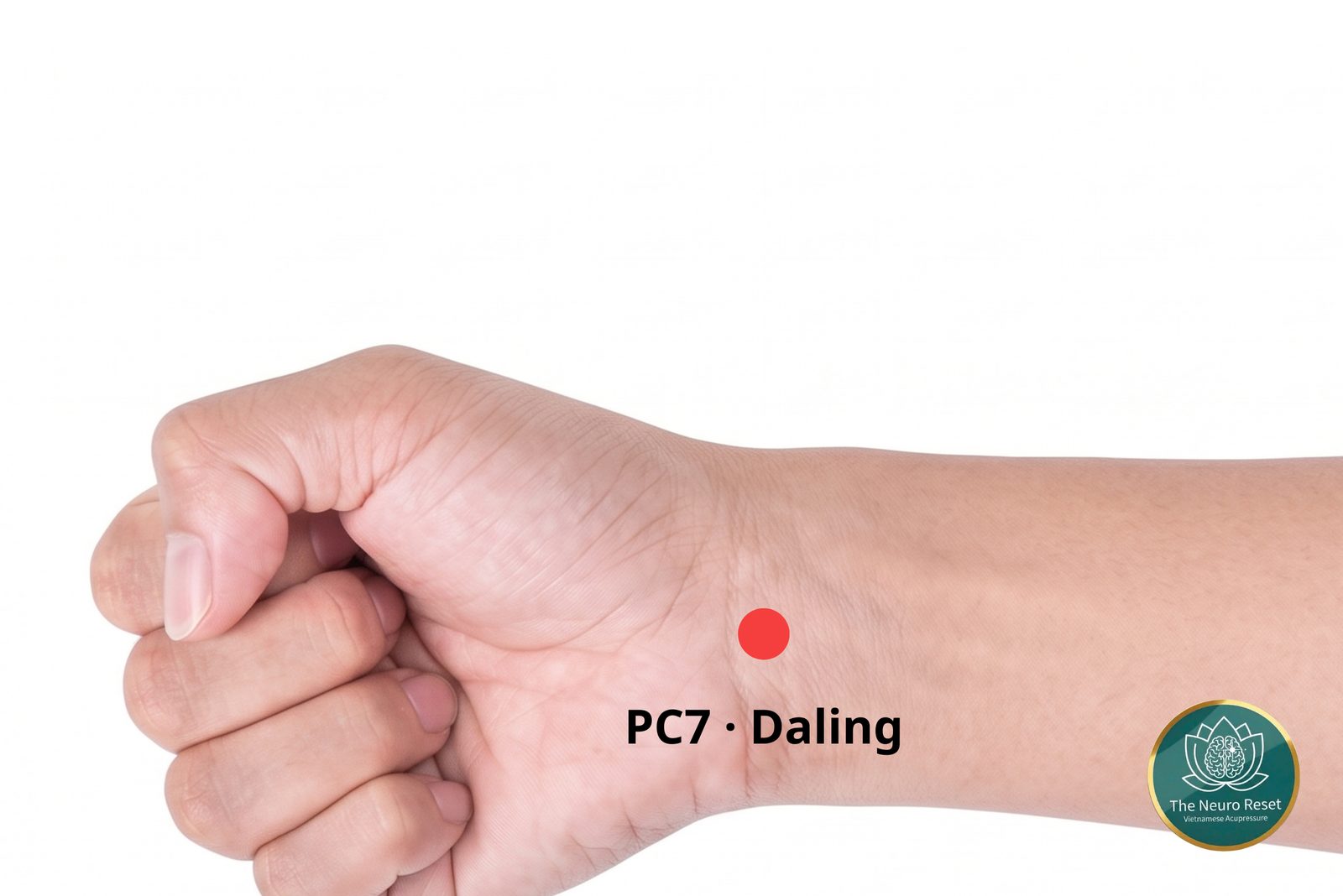 Daling (PC7) pressure point: inside of a wrist, hand loosely closed, red dot in the middle of the wrist crease.