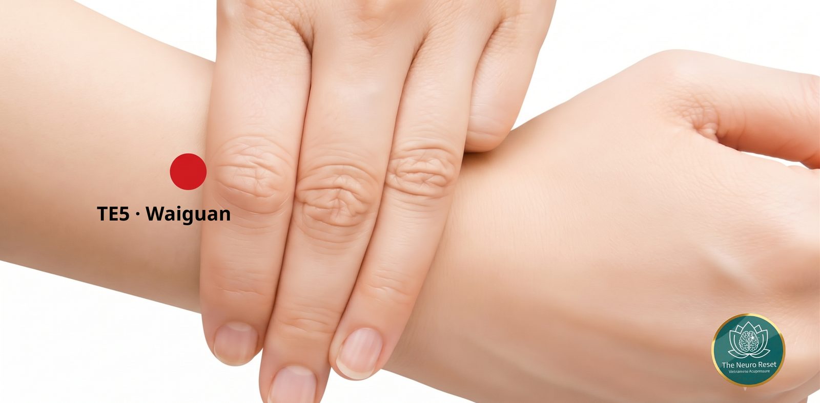 Waiguan (TE5) pressure point: three fingers across the back of the wrist, red dot on the forearm above them, between the two forearm bones.